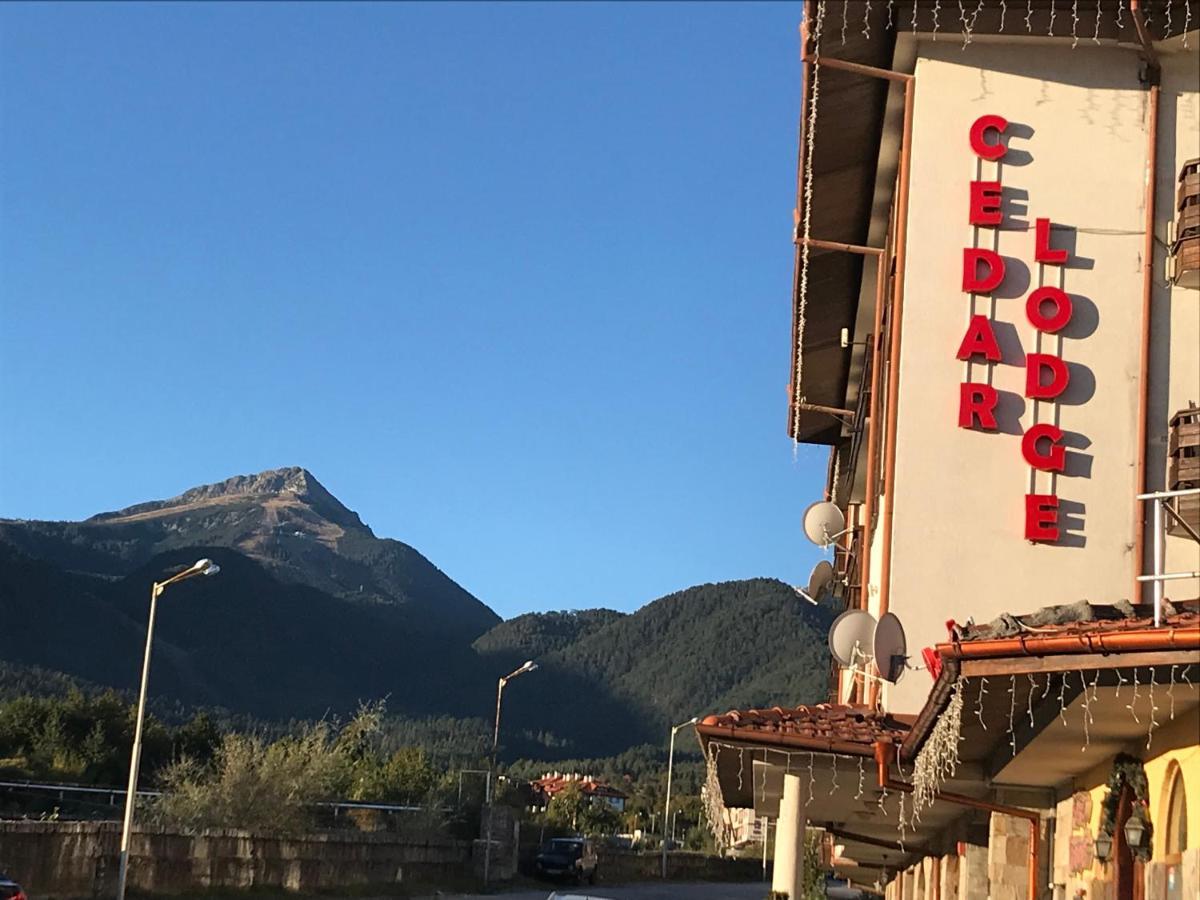 Ski Zone At Gondola, Perfect One Bdrm, Fast Wifi, Netflix, Quiet, Warm บันสโก ภายนอก รูปภาพ