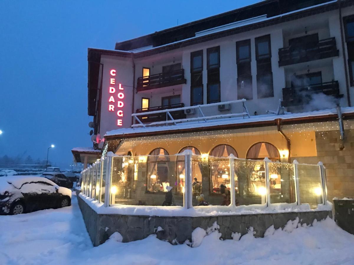 Ski Zone At Gondola, Perfect One Bdrm, Fast Wifi, Netflix, Quiet, Warm บันสโก ภายนอก รูปภาพ